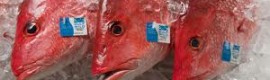 Seafood Fraud1