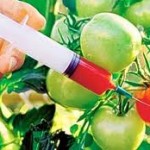 Food Adulteration Food Adulteration